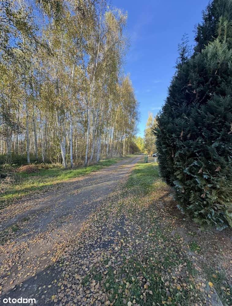 GMINA MIĘKINIA DOM W LESIE  4 POKOJE 152 m²  25MIN OD WROCŁAWIA-16