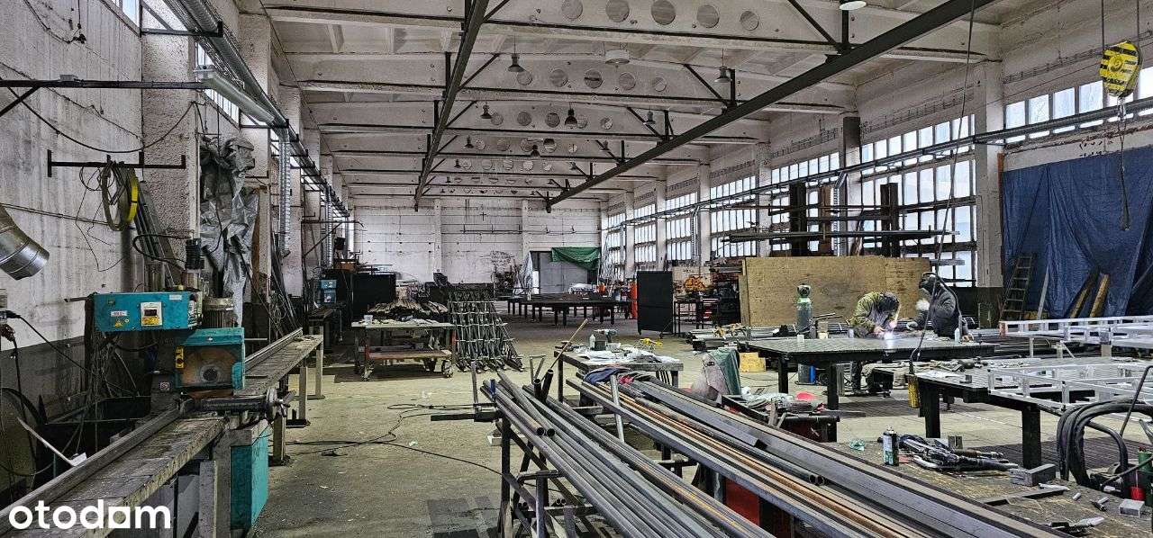 Budynki biurowo-produkcyjne na działce 1,7ha Lubin - Pełny obrazek: 5/12