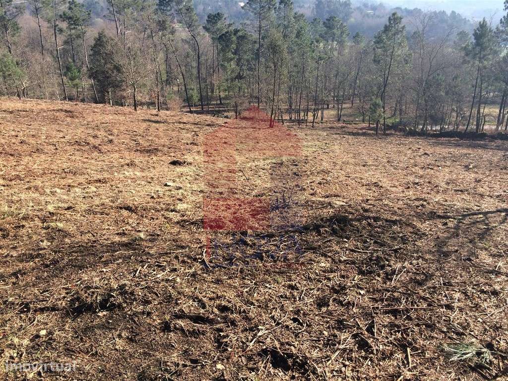 Vende-se Terreno, Sabariz - Grande imagem: 5/12