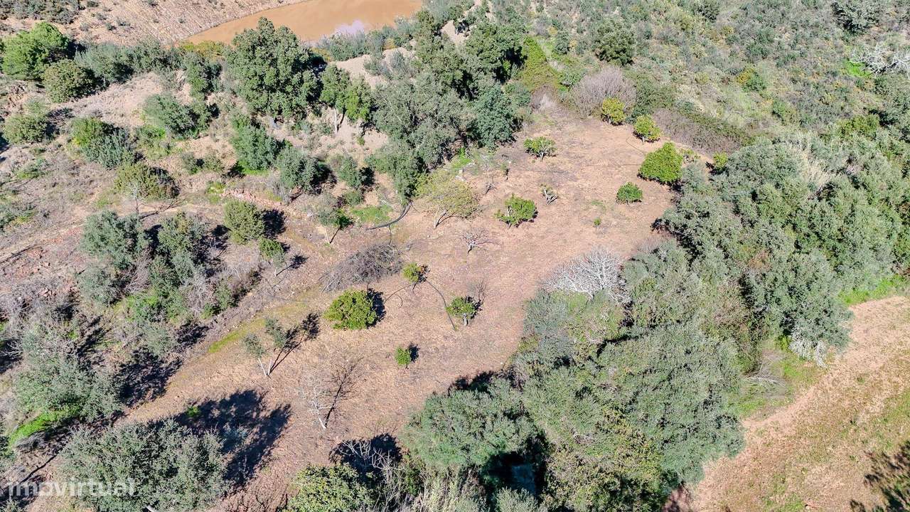 Terreno Rústico de 2.5Ha com Barragem - Grande imagem: 5/28