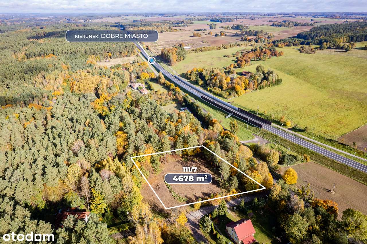 Działka budowlana 4671 m2 Spręcowo Gmina Dywity - Pełny obrazek: 2/9