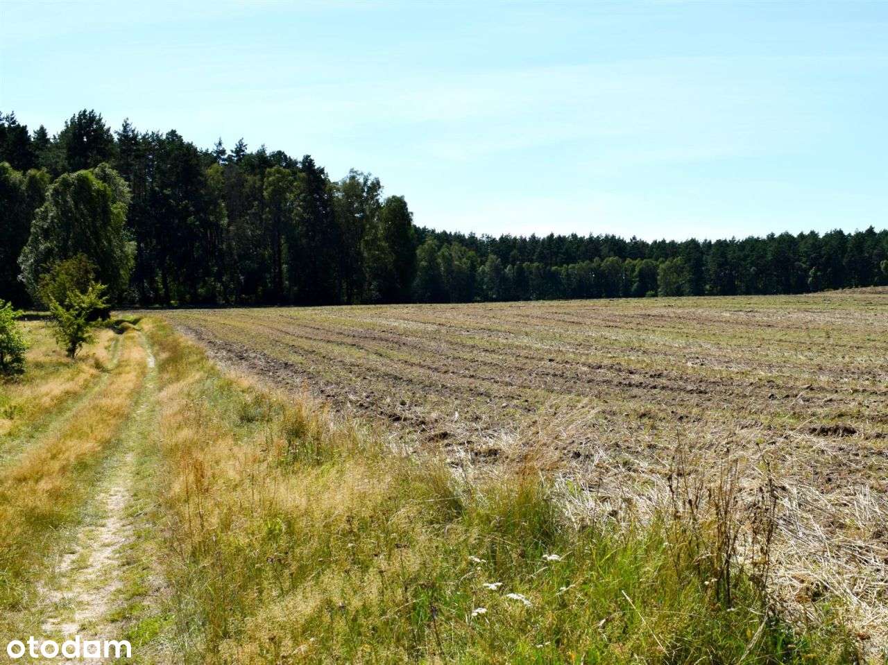 Działka rolna - Ostroróg-19