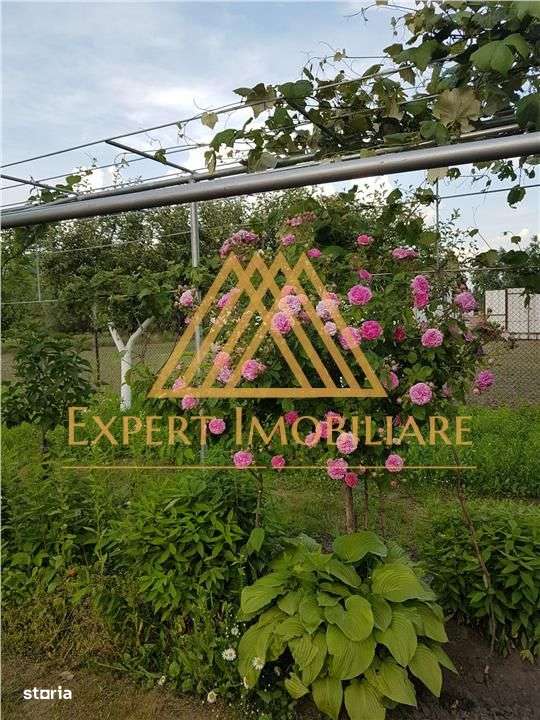 Casa Gospodarului din Bucovina-4