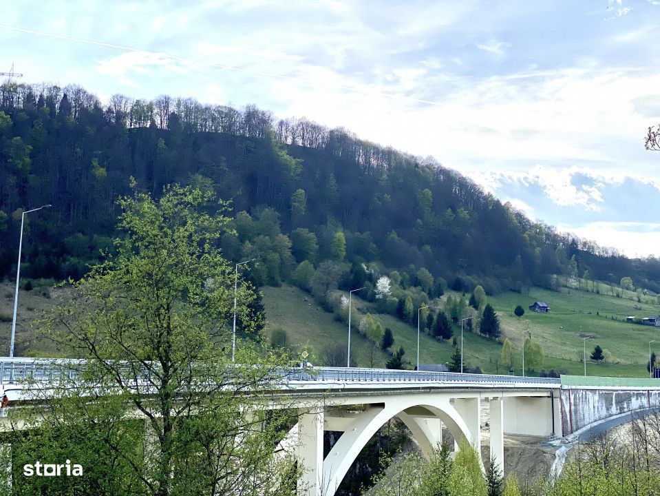 Teren spectaculos, vedere panoramica la munte, panta mica si padure