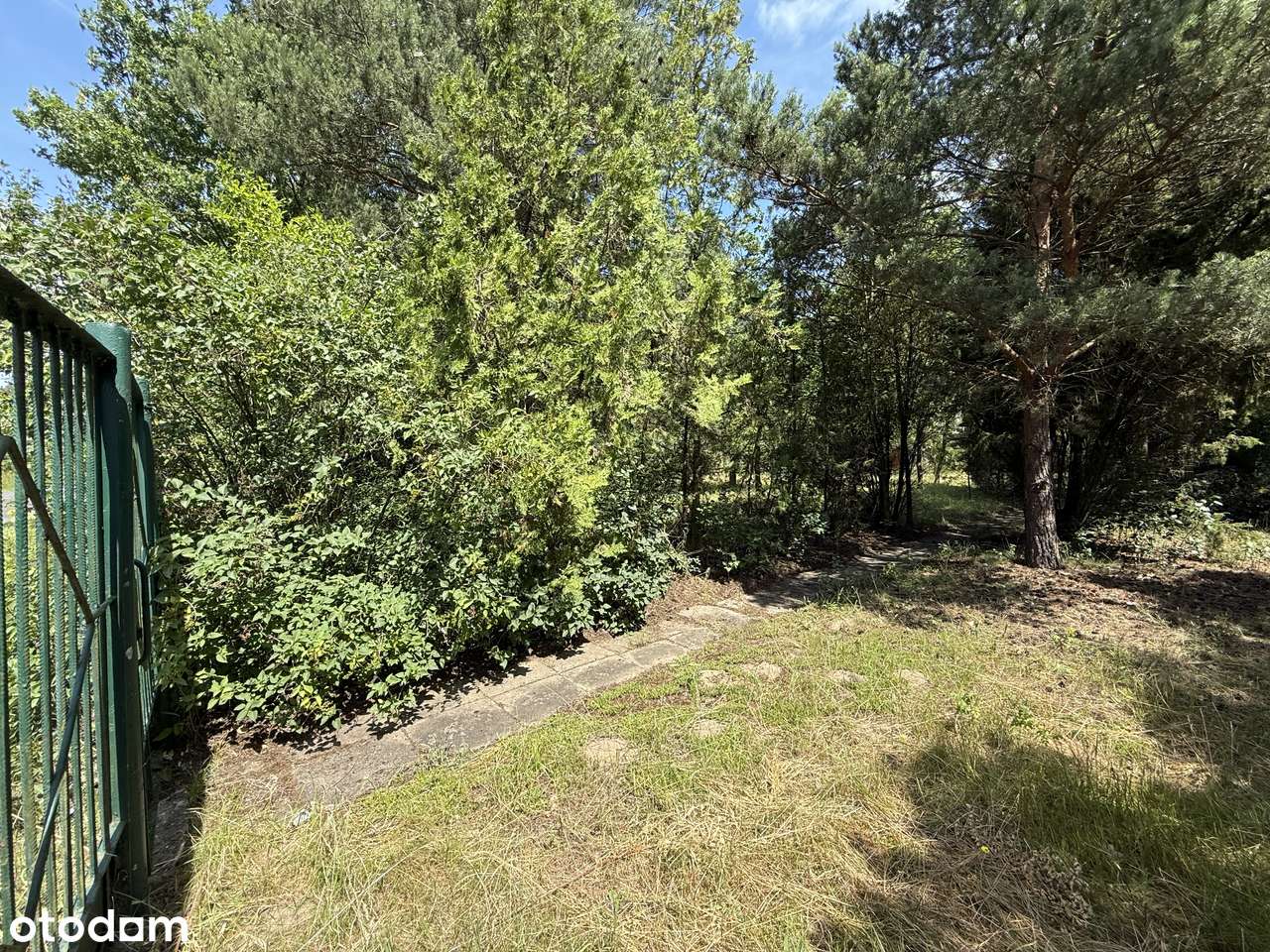 Uniejów – działka 2500 m² przy lesie, blisko term!-4