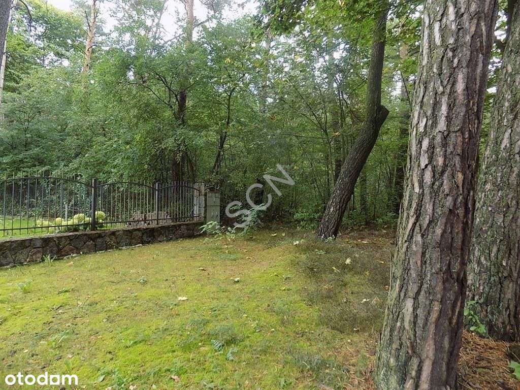 Niezwykłe Miejsce - Oaza ciszy i spokoju-2