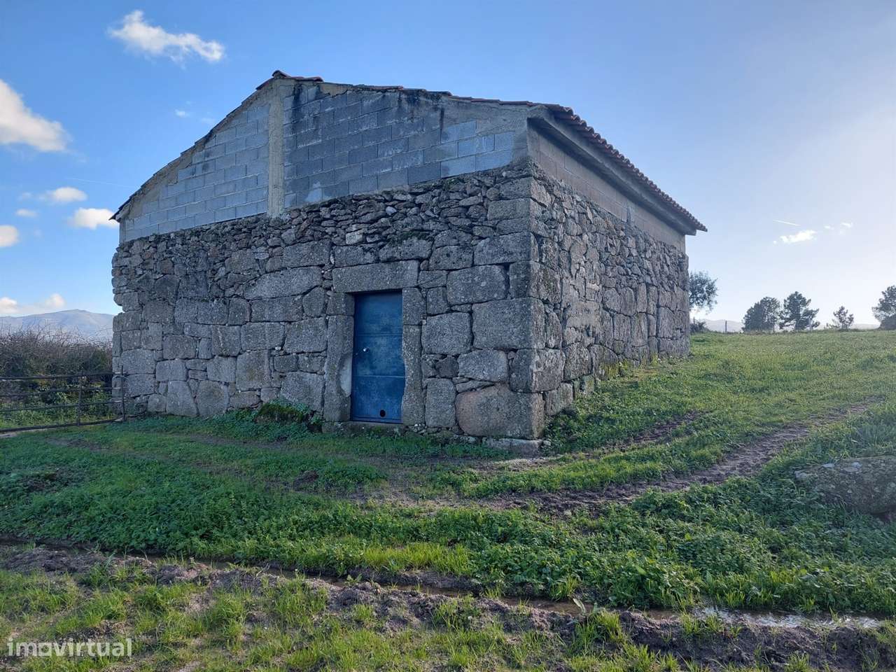 Quinta  Venda em Ribamondego,Gouveia - Grande imagem: 4/11