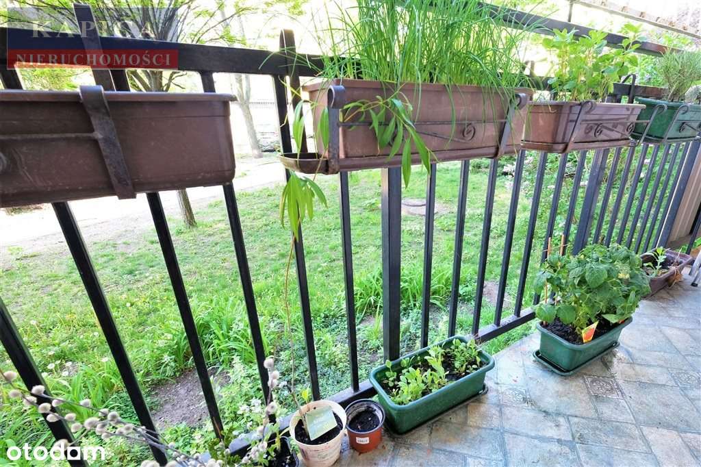 3 oddzielne pokoje, loggia, kuchnia z oknem-2