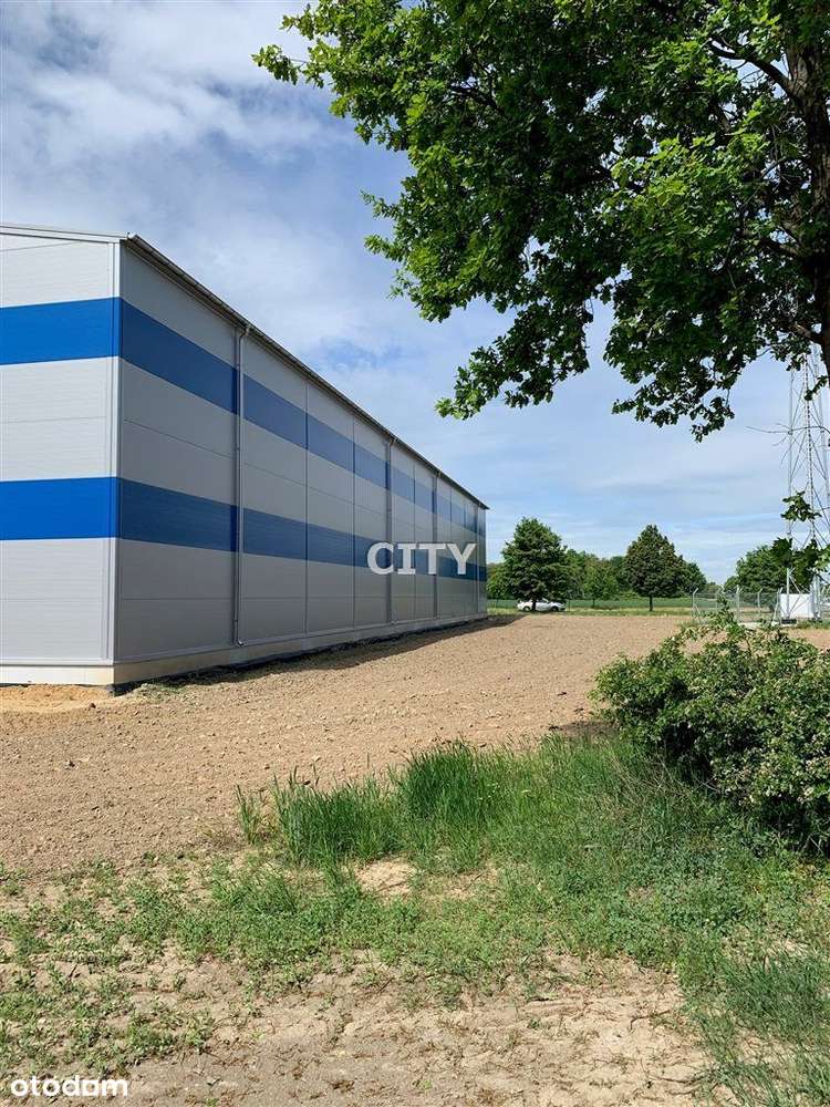 Hala/Magazyn, 1 000 m², Bielany Wrocławskie - Pełny obrazek: 5/7