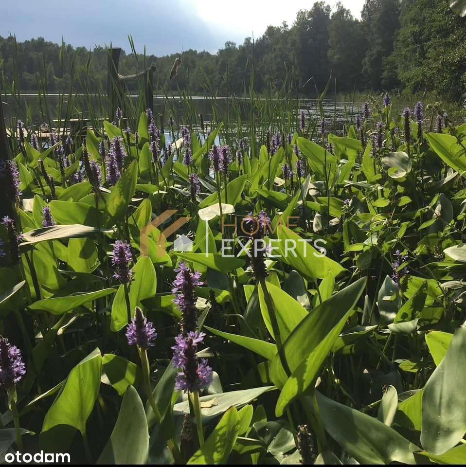 Prywatne jezioro z trzema działkami !-8