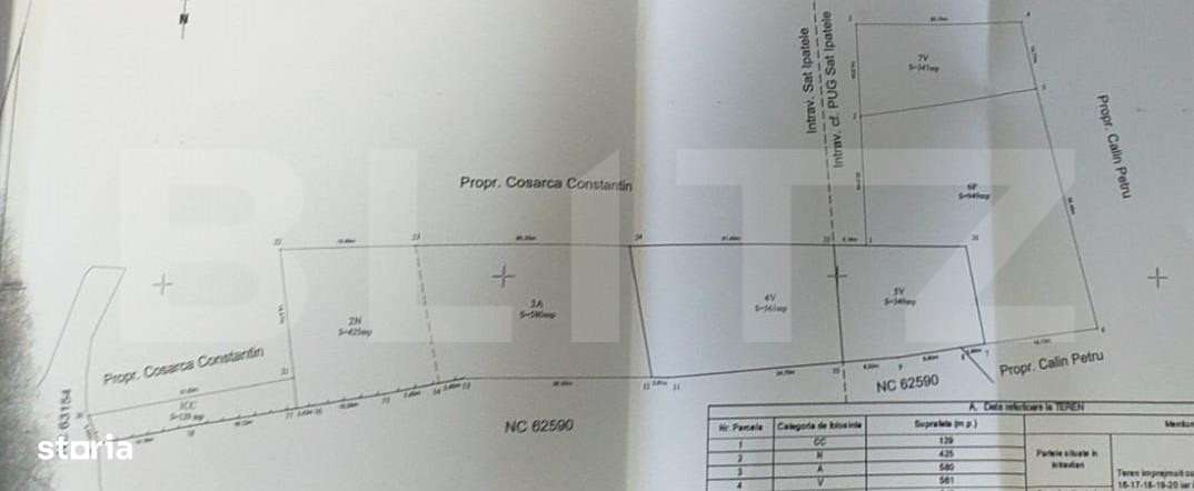 Casa batraneasca cu teren de 6700 mp intravilan, Ipatele - Imagine principală: 4/5