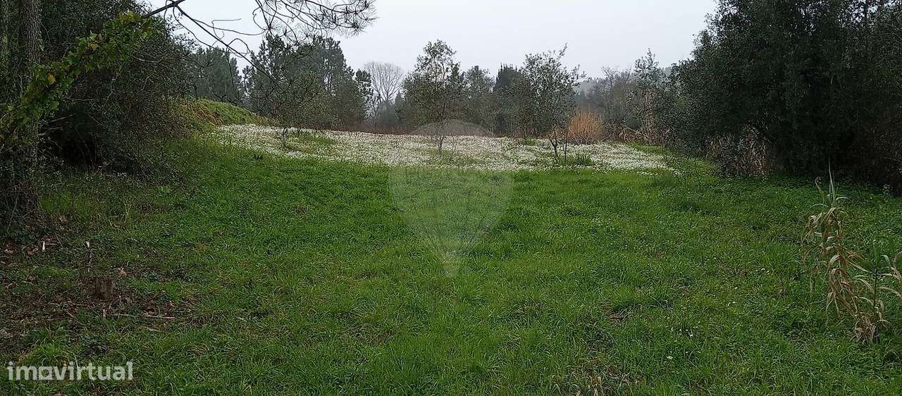 Terreno  para venda - Grande imagem: 3/4