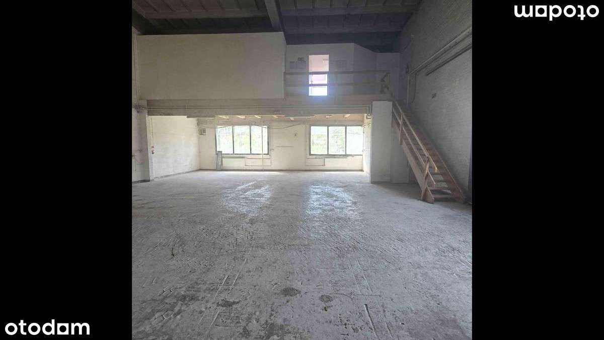 Toruń hala magazynowo - Produkcyjna - Pełny obrazek: 4/6