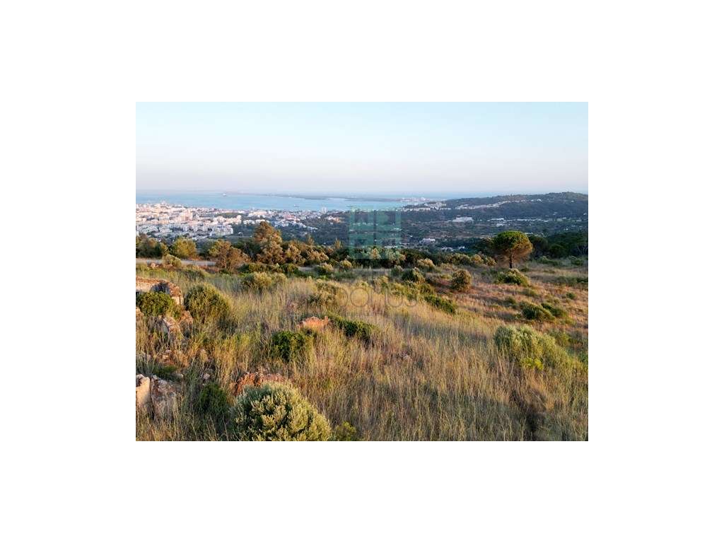 Quinta com 435.487 m2 na Serra da Arrábida, em Palmela, Setúbal-54