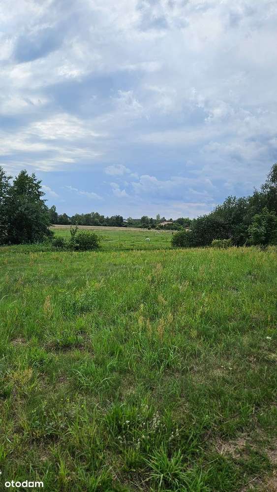 3838m2 piękna działka bud. Zakrzyce, gm. Miękinia-9