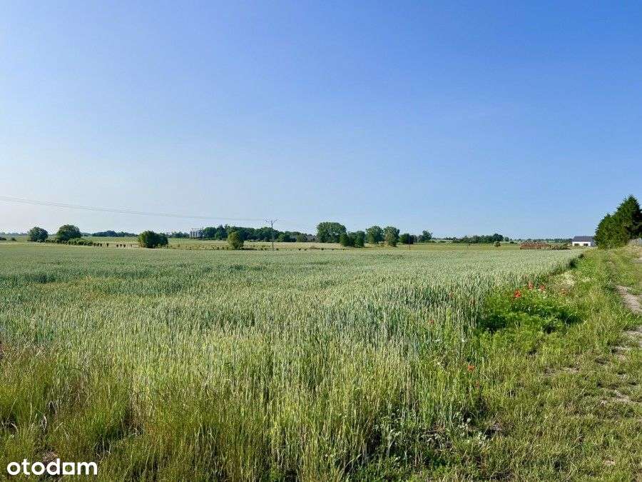 Działka Z Widokiem Na Pola - Pełny obrazek: 4/5
