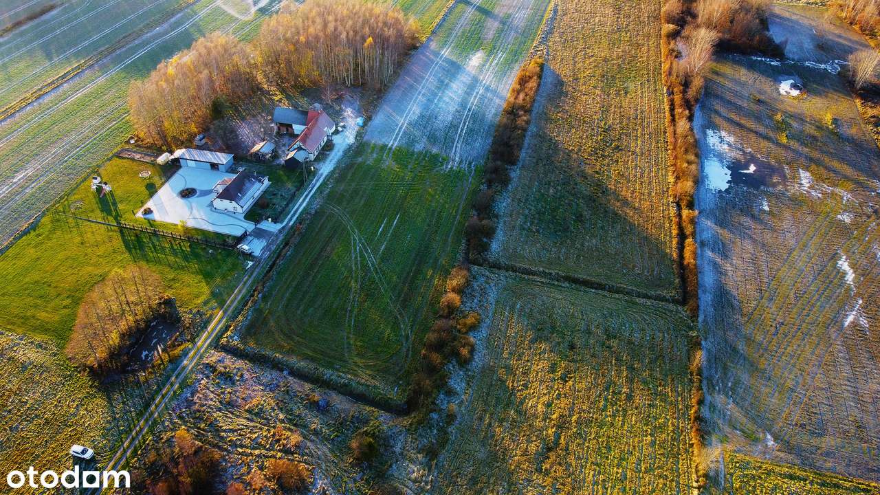 Jeżyce - 3 działki budowlane na sprzedaż-10