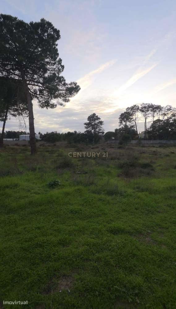 Terreno rústico com elevado potencial construtivo – Casal de Bolinhos, - Grande imagem: 4/6