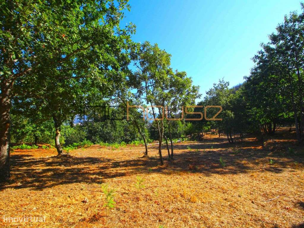 Quinta de 2ha com vista panorâmica - Freigil-8
