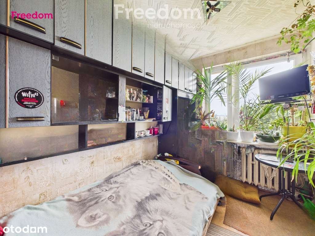 3-pokoje, potencjał w zielonej i spokojnej okolicy - Pełny obrazek: 4/17