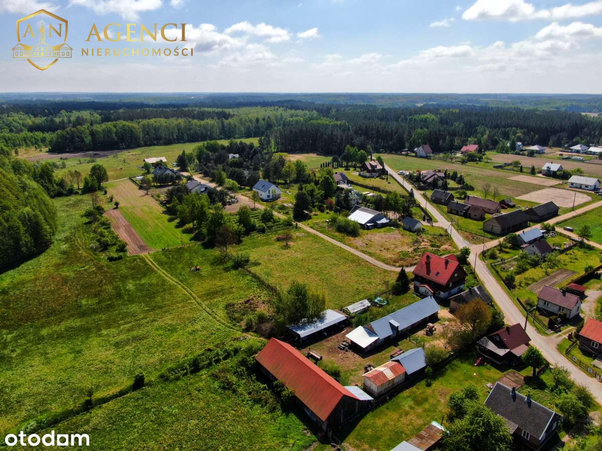 **Piękne Skrybicze**Pod Lasem**3 Działki** - Pełny obrazek: 5/5