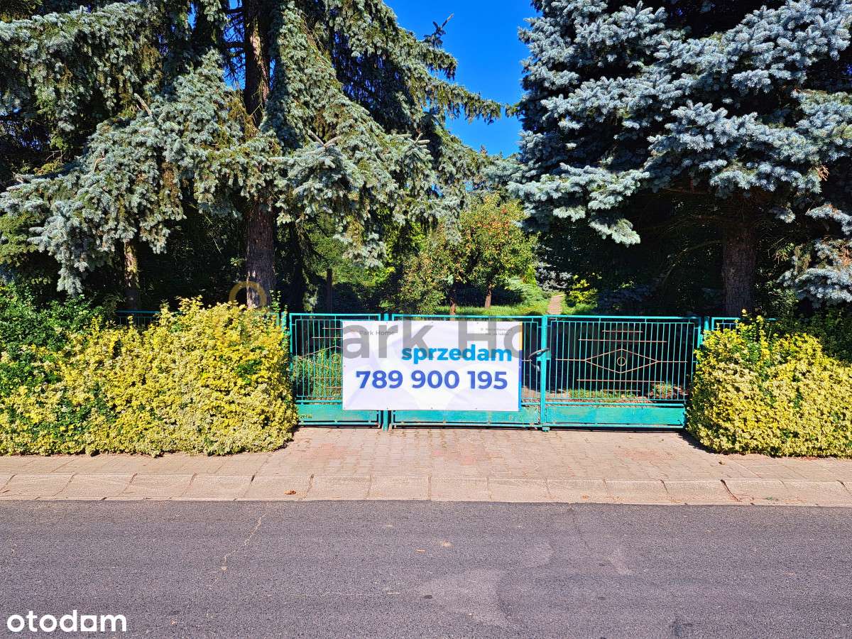 Twój azyl wśród zieleni - Pełny obrazek: 5/12