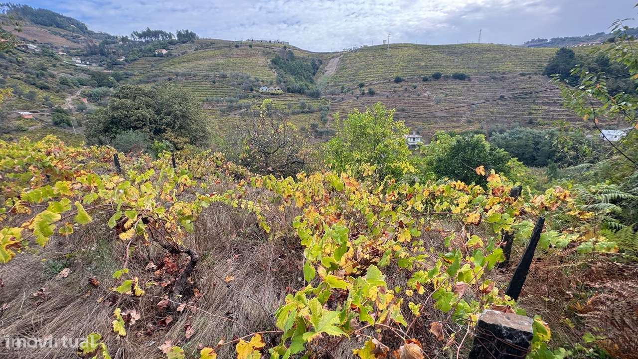 Quinta em Sedielos, Peso da Régua-11