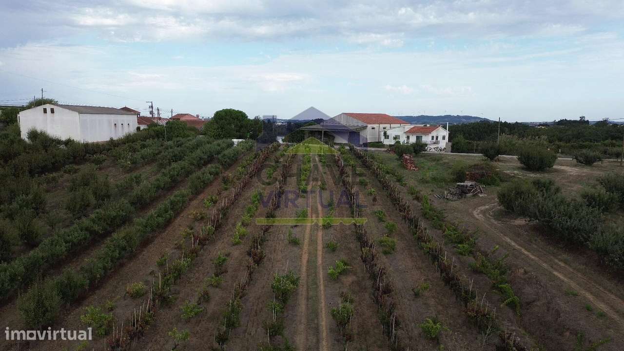 Terreno Rústico Construtível c/ 7.859 m2 Carvalhal - Bombarral-12