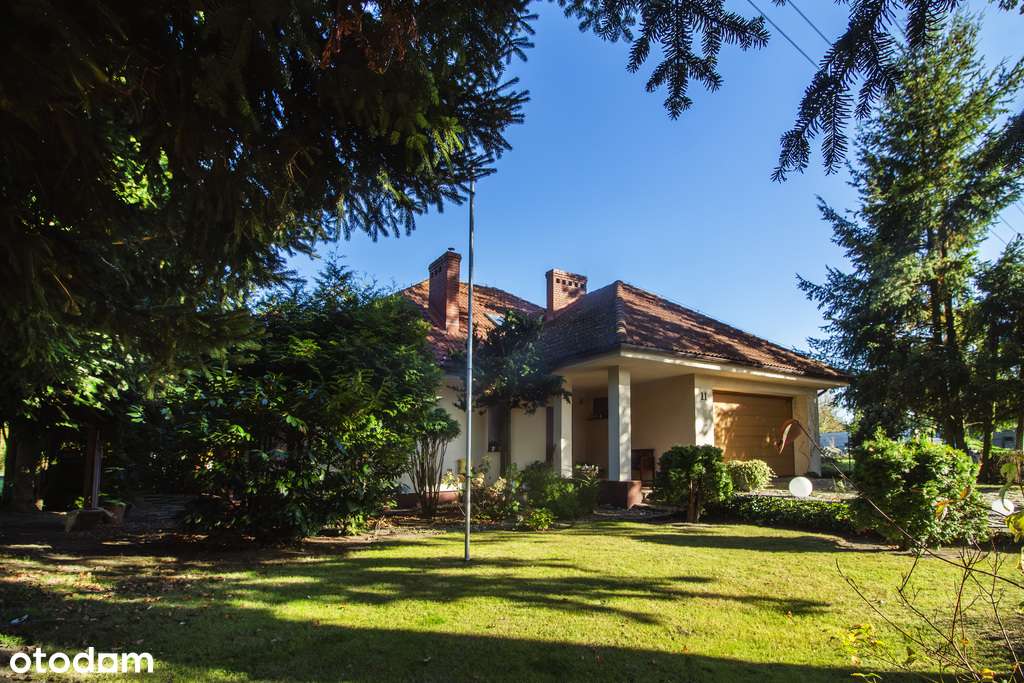 Dom z basenem pod palmą - Pełny obrazek: 5/20