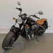 Indian Scout - 5