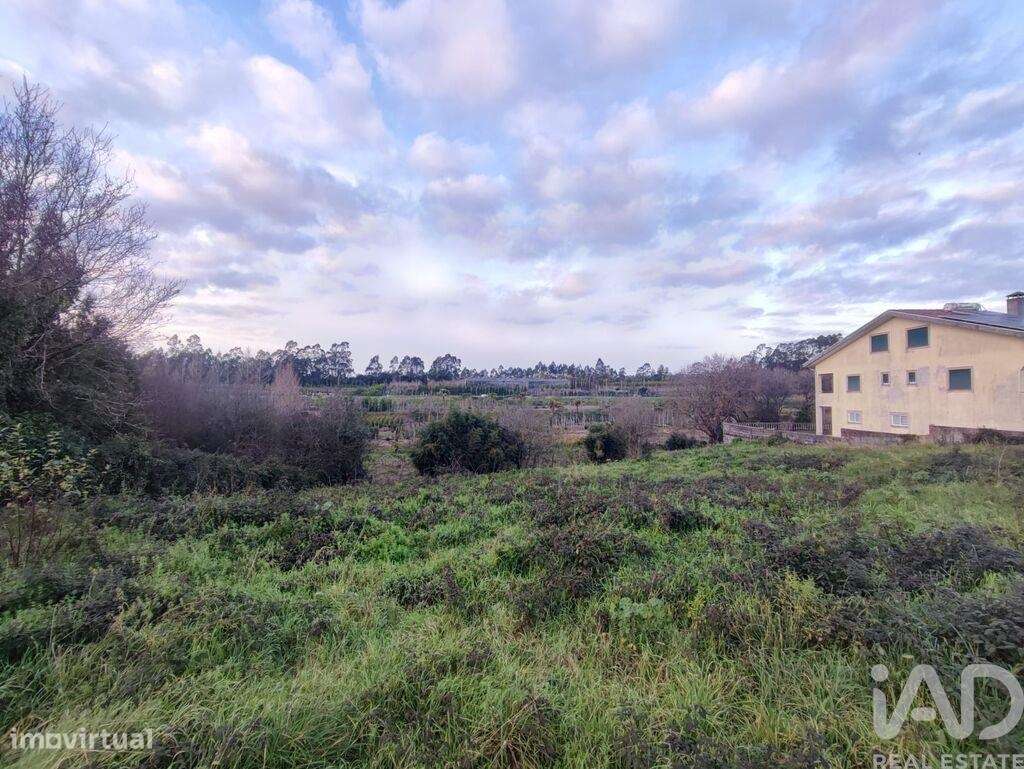 Terreno em Ovar, São João, Arada e São Vicente de Pereira Jusã de 1405 - Grande imagem: 2/4