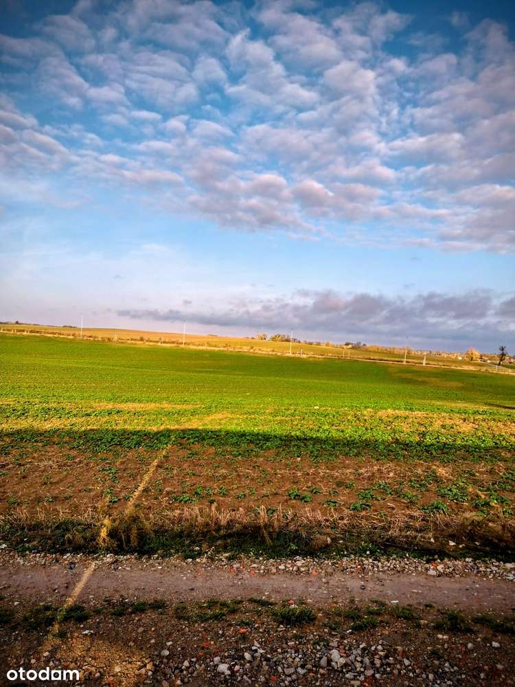 Powidz / działka z MPZP - Pełny obrazek: 4/5