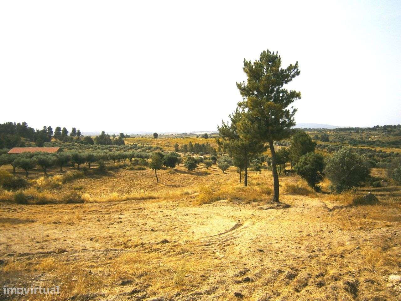 Quinta - Grande imagem: 2/12