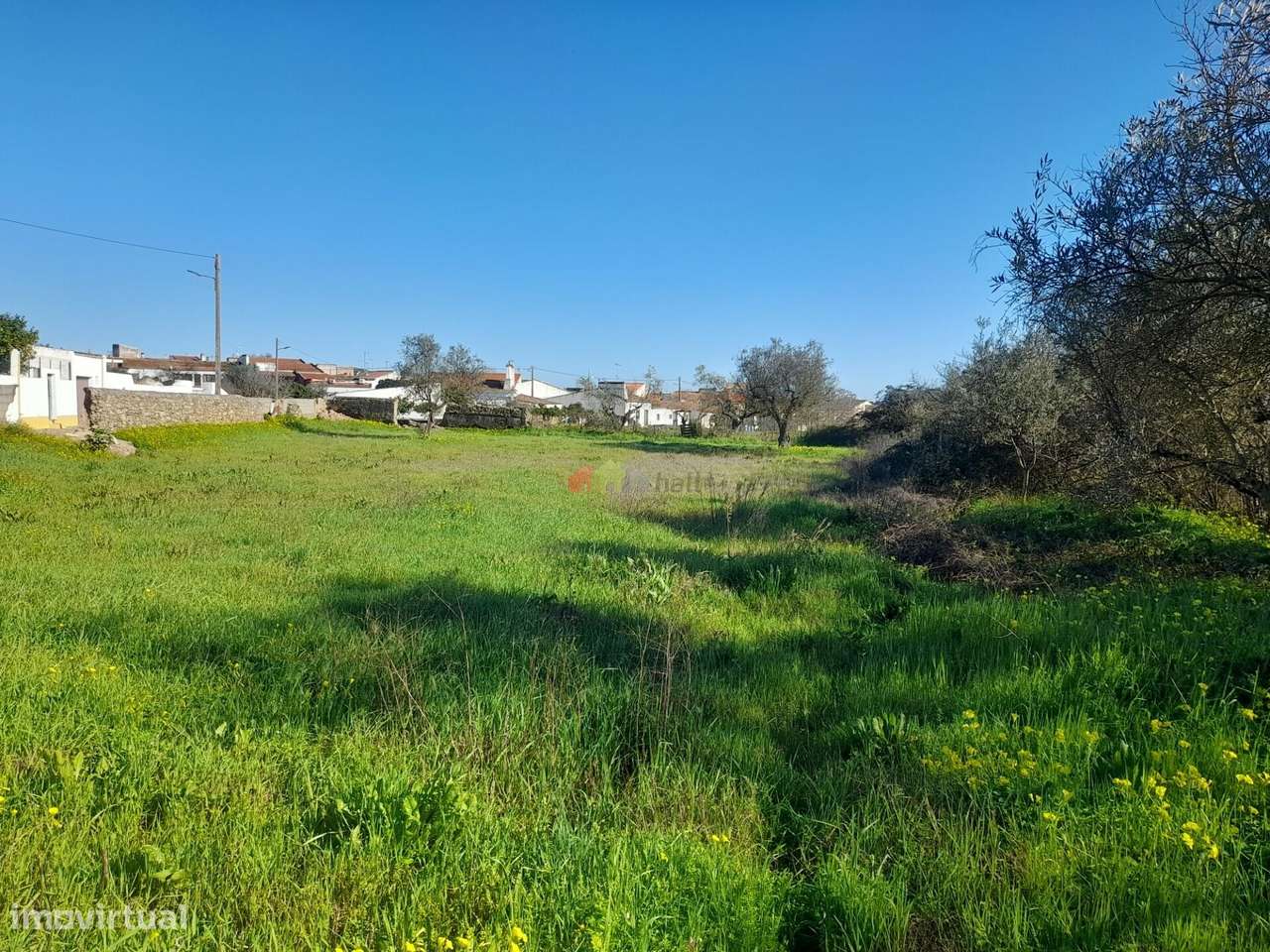 Qta Pedrogão com viabilidade de construção habitação - Grande imagem: 5/11