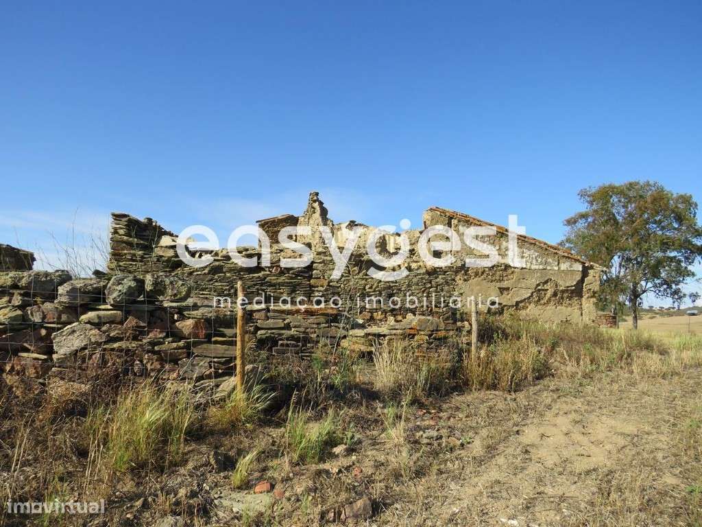 Monte em ruinas com 14 hectares em Entradas concelho Castro Verde - Grande imagem: 5/34