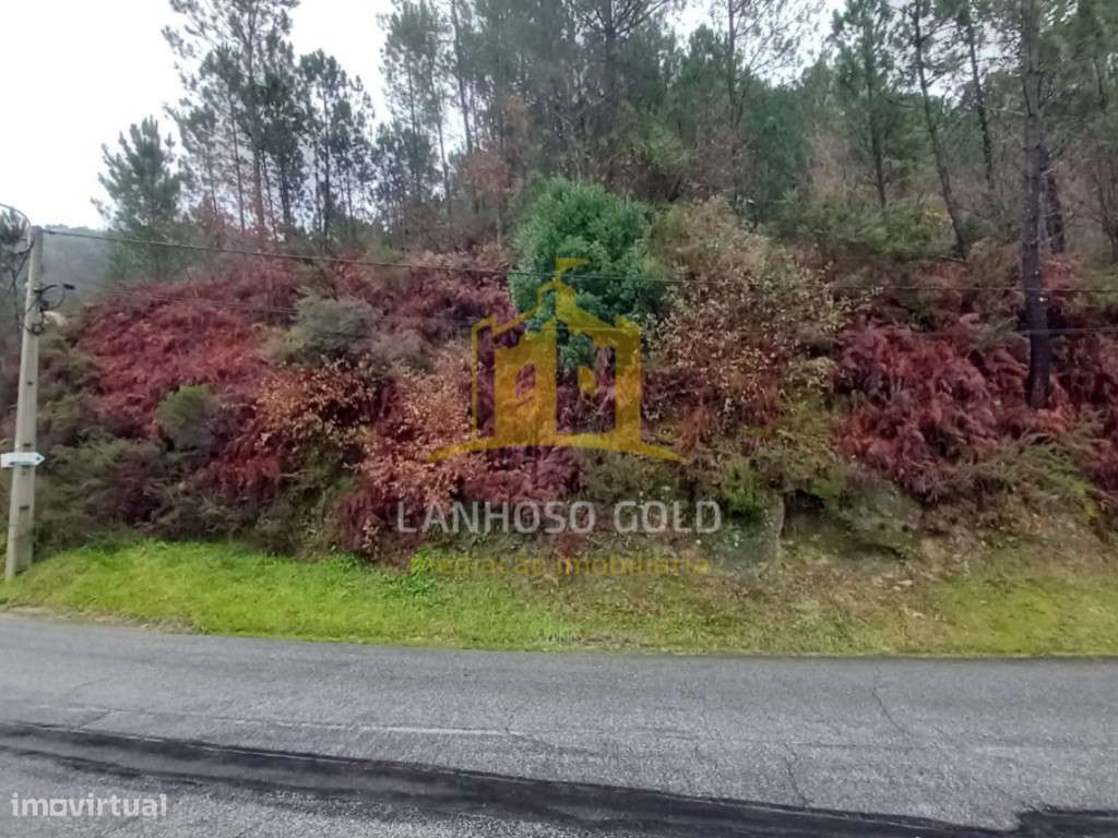 Terreno Urbano - Grande imagem: 5/6