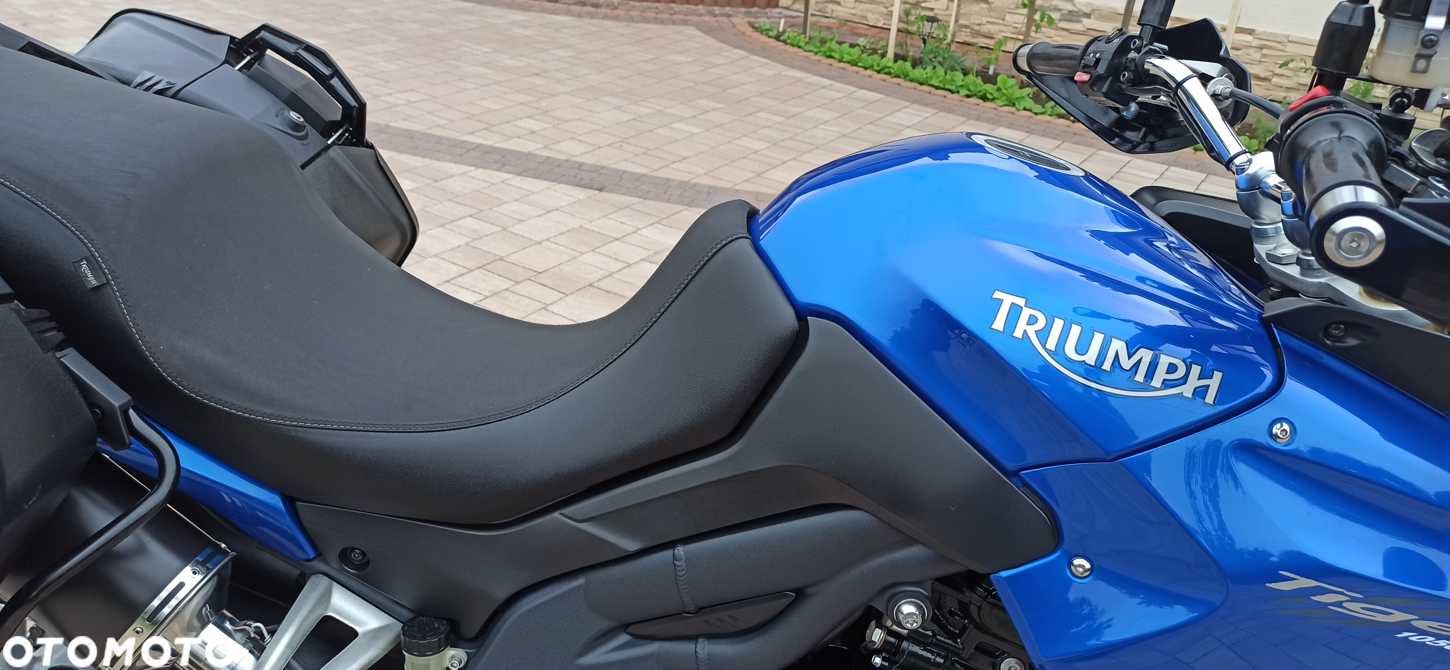 Triumph Tiger - 17