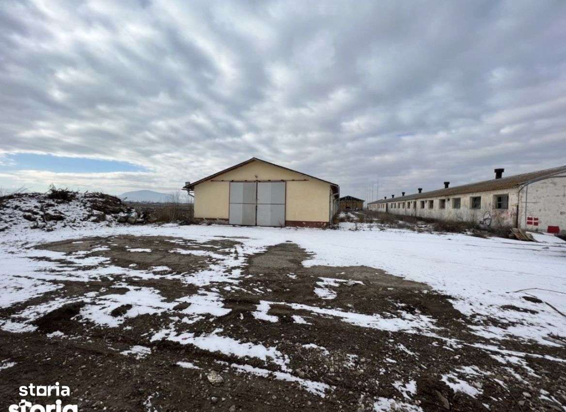 Teren intravilan/industrial cu hale si utilitati, DN 13 - Imagine principală: 2/5