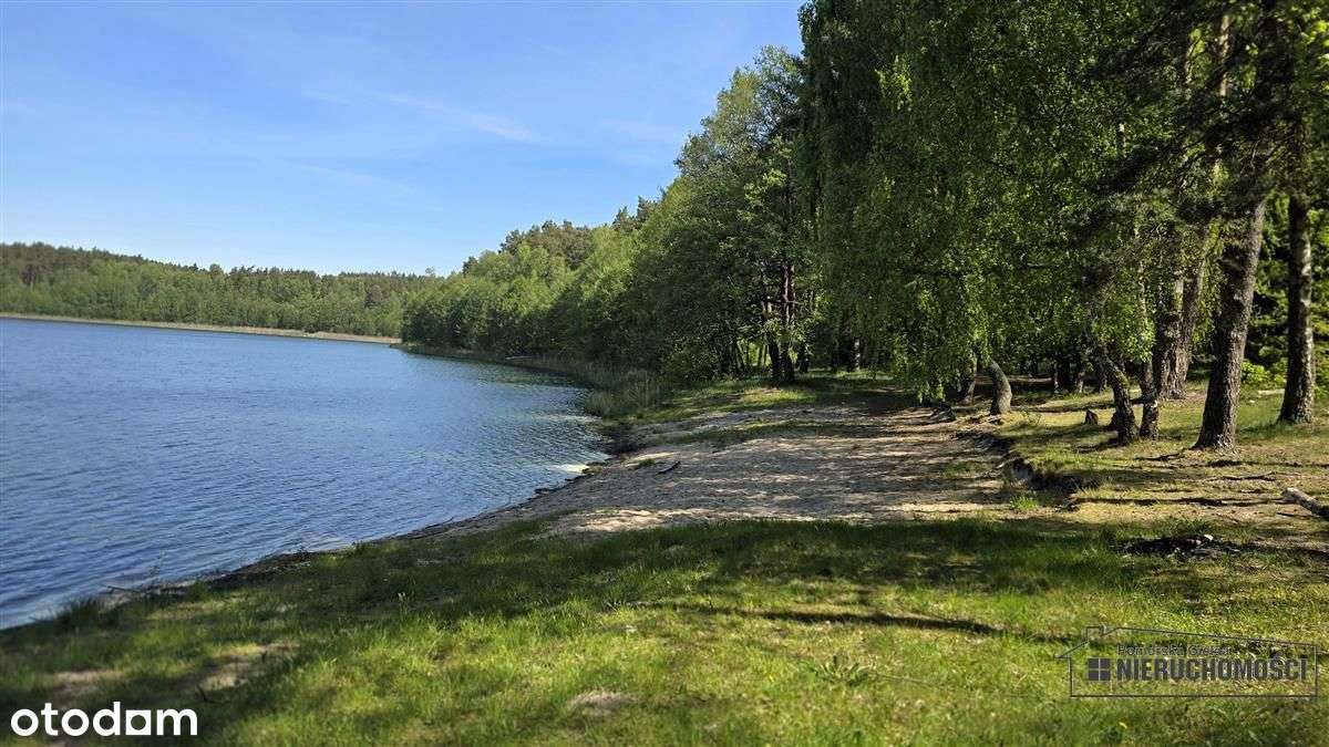 Okole - Grunt siedliskowy w otoczeniu lasu ok. 100-12