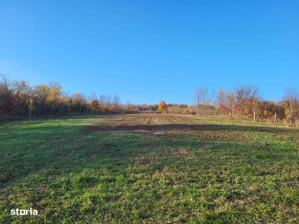 Teren 11.939 mp Balanesti – ideal rezidential/comercial - Imagine principală: 4/7