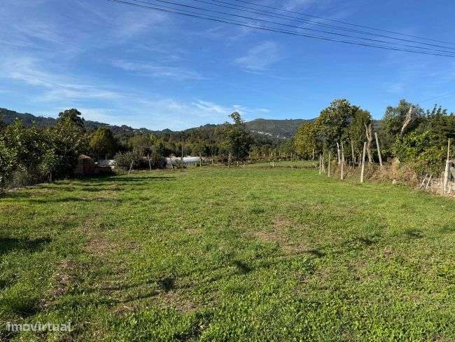 Terreno - Coucieiro, Vila Verde - Grande imagem: 5/9