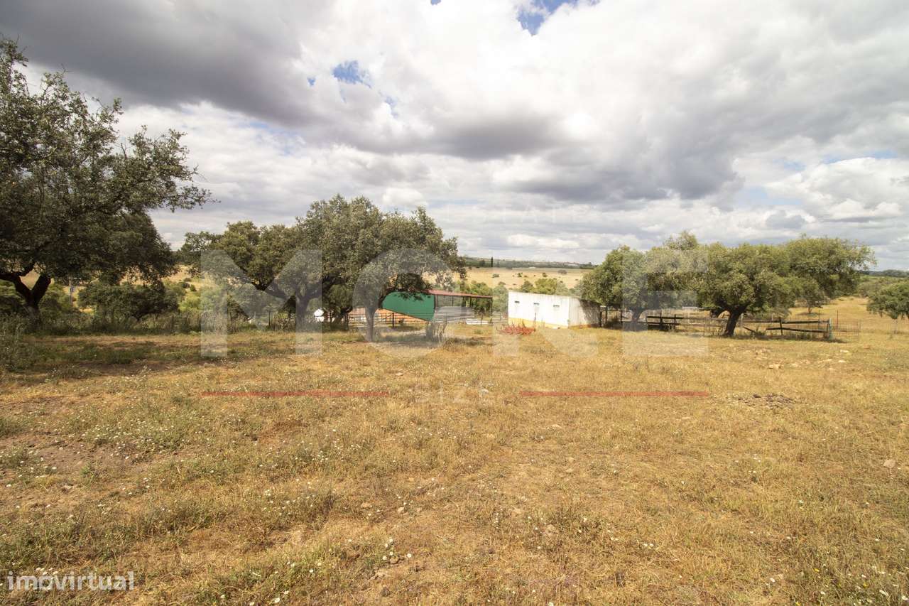 Herdade - Alvito-44