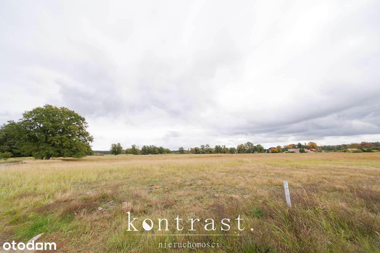 Dom pod lasem, piękna i spokojna okolica-15