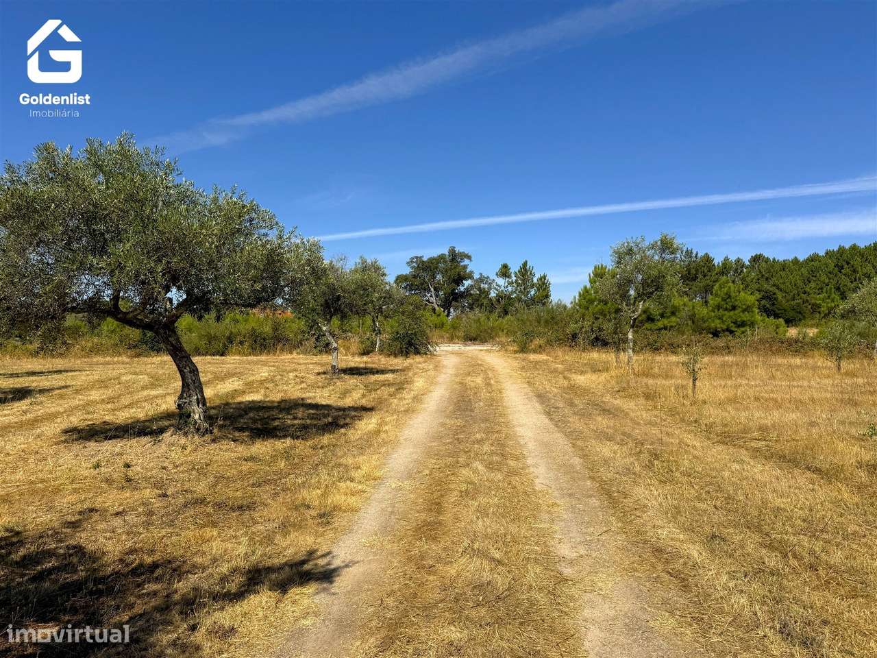 Quinta  Venda em Lardosa,Castelo Branco-24