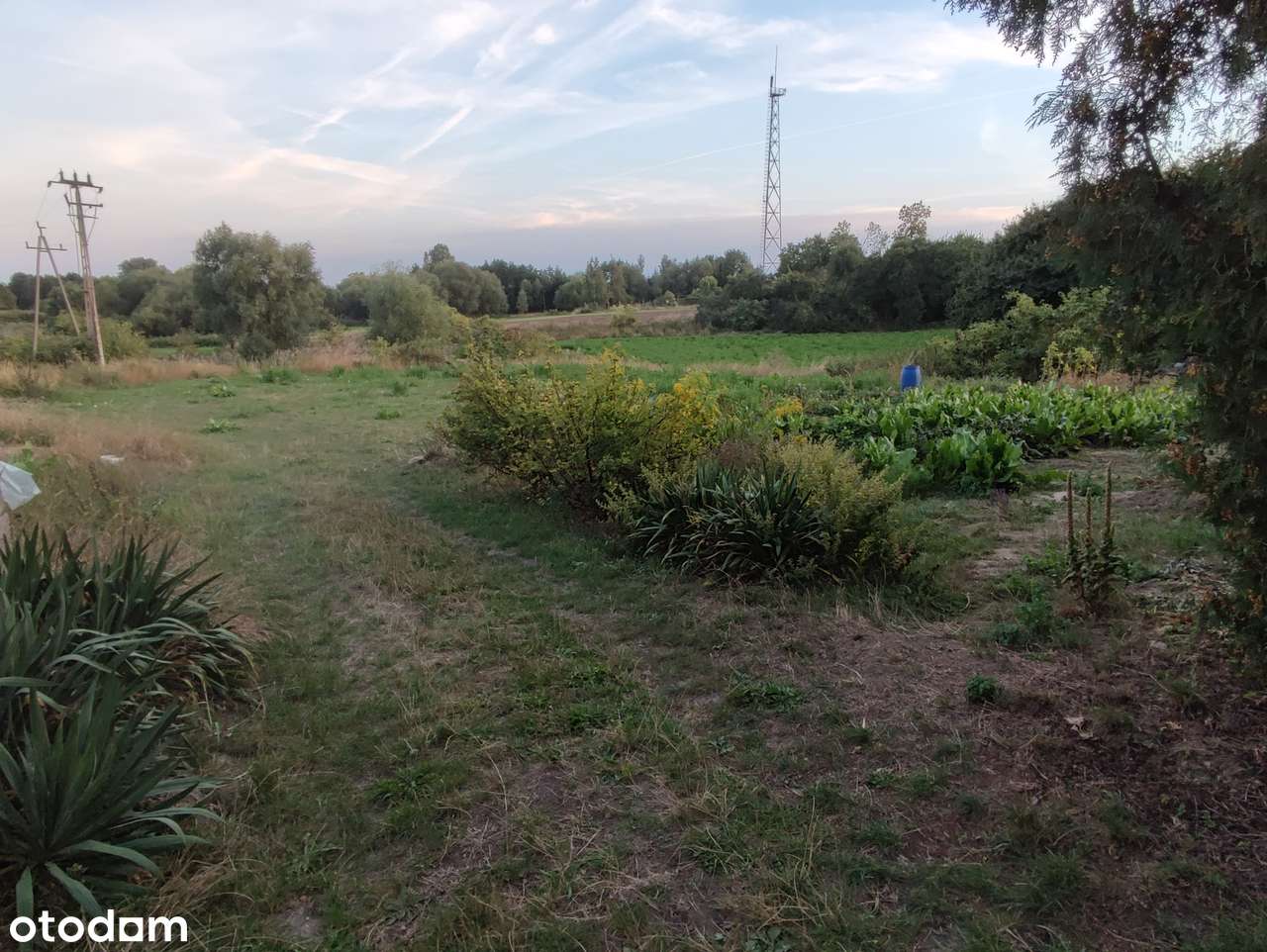 Dom  - Łobżenica 262 m² - Pełny obrazek: 5/8