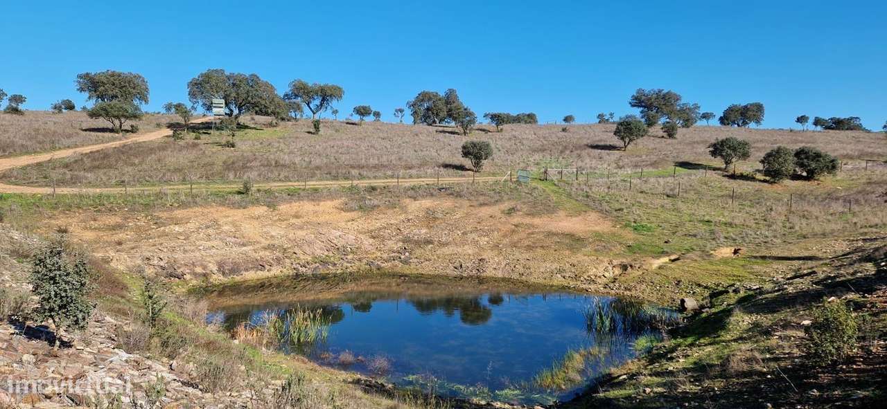 Herdade de 62 Hectares no Coração do Alentejo – Évora  - Agricultura --26