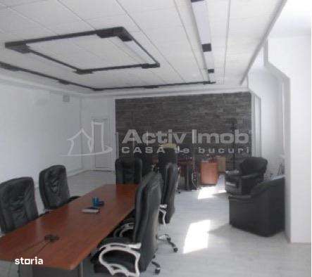 Complex industrial 30130  mp construit - Teren 42558 mp-17