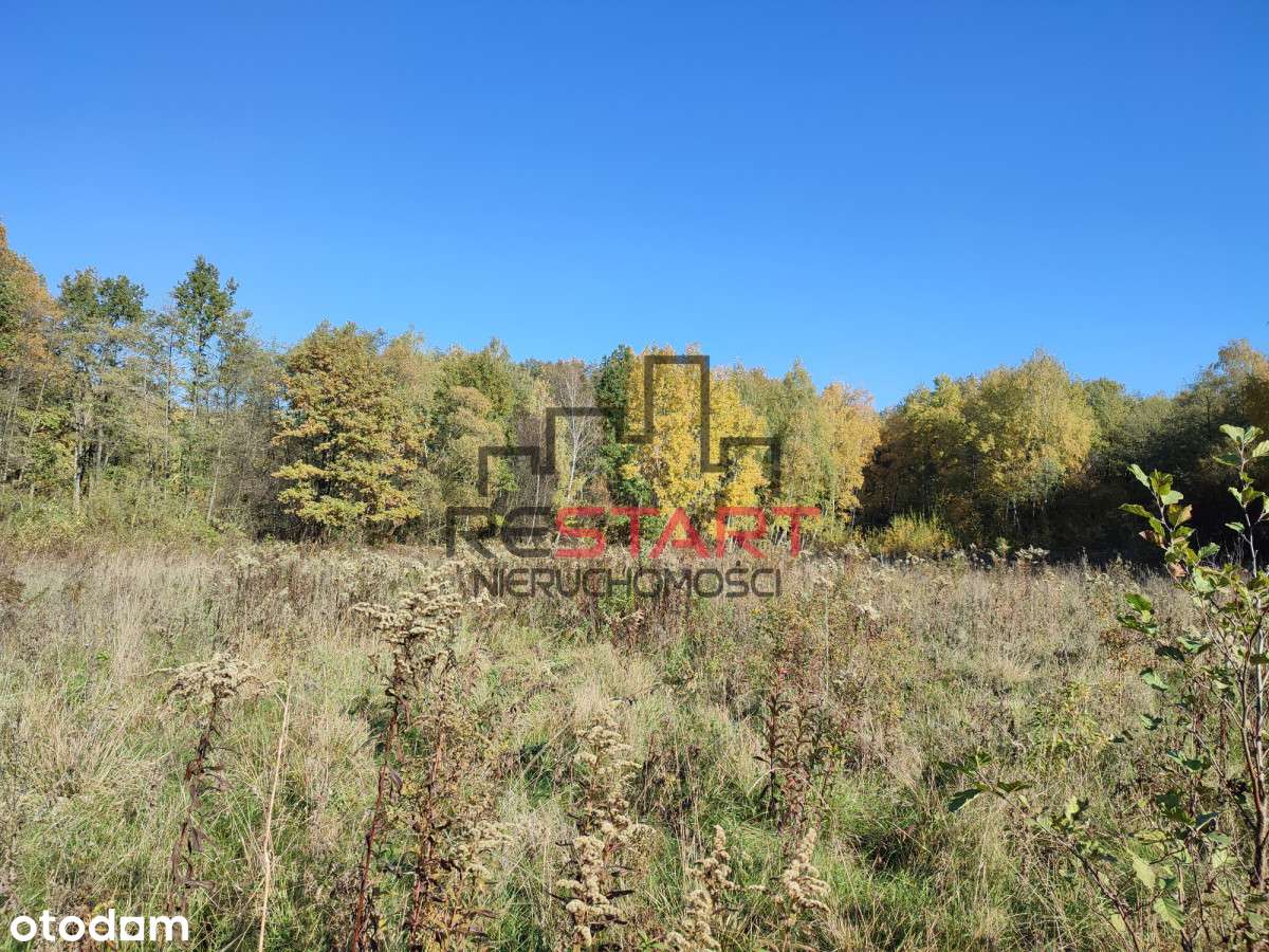 Teren Inwestycyjny Zabudowa  Mieszkaniowa