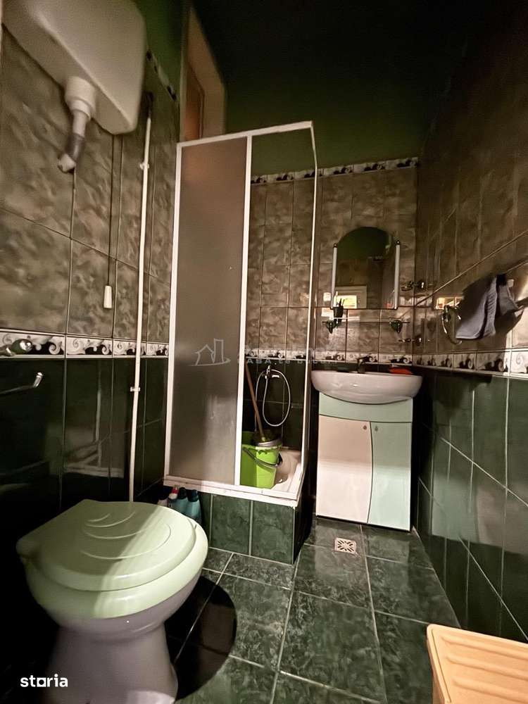 Apartament 129 mp cu vedere spre Crisul Repede si demisol independent-10