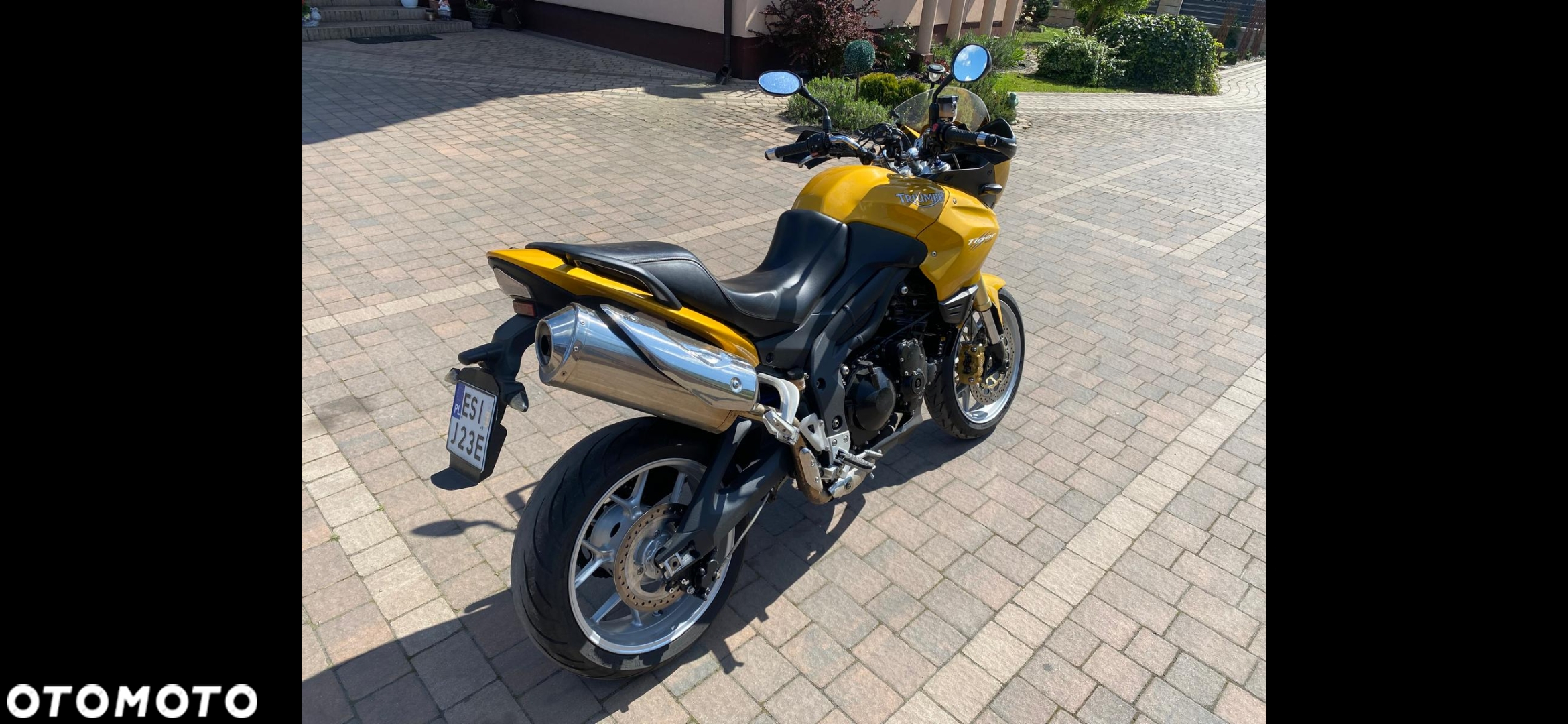 Triumph Tiger - 6